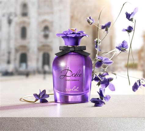 dolce and gabbana violet